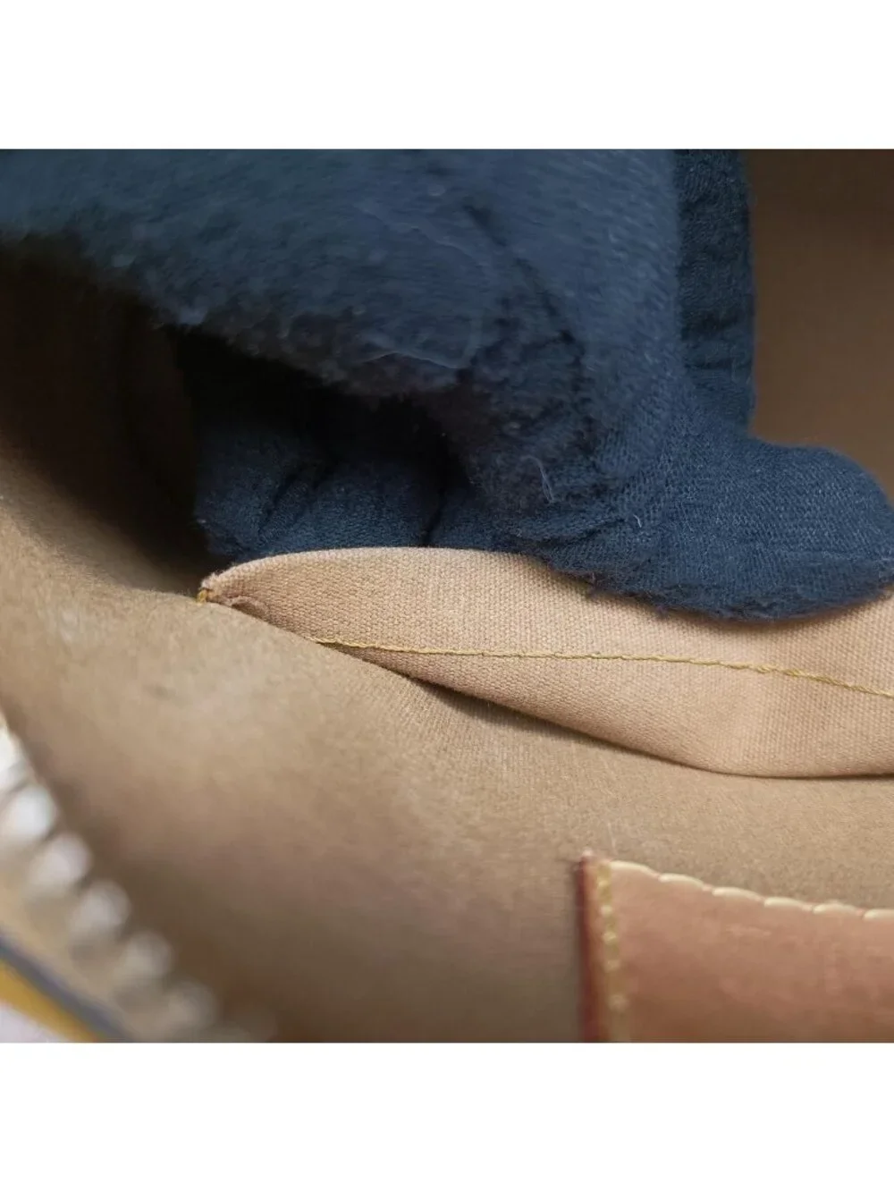 Louis Vuitton brand louis